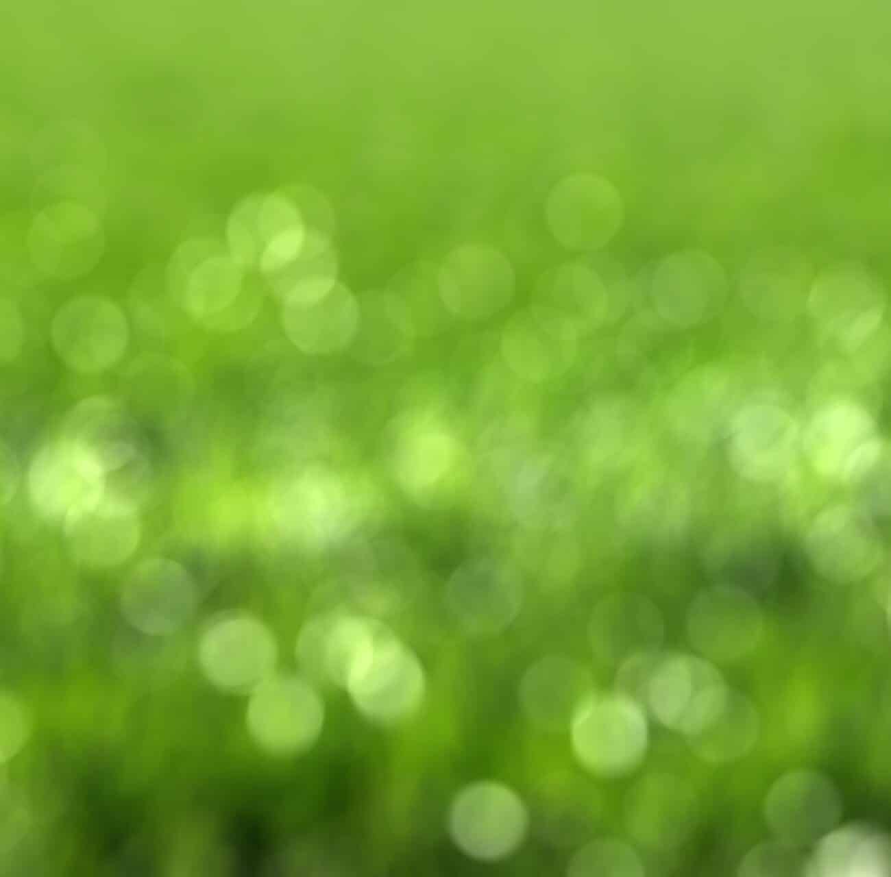 Comment améliorer la performance environnementale des organisations ?